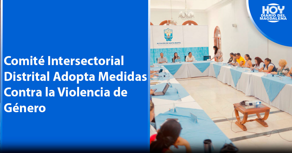 Comit Intersectorial Adopta Medidas Contra La Violencia De G Nero