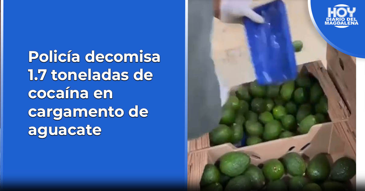 Polic A Decomisa Toneladas De Coca Na En Cargamento De Aguacate