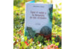 Docente de Unimagdalena publicó libro infantil sobre la Sierra Nevada