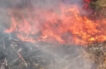 Incendio forestal pone en riesgo comunidad de Juan XXIII
