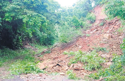 Carretera hacia Neguanje quedó intransitable por árboles caídos