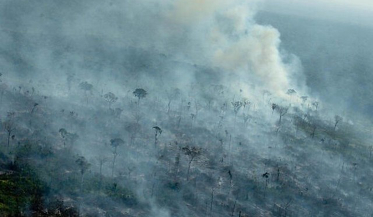 Deforestación en la Amazonía brasileña aumenta dramáticamente