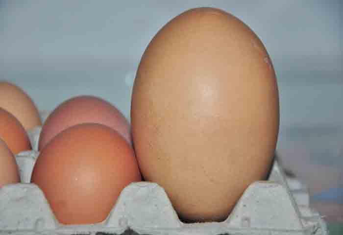 En el último año, el precio del huevo subió casi 35%