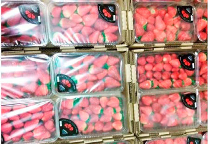 Exportada primera carga de fresas  