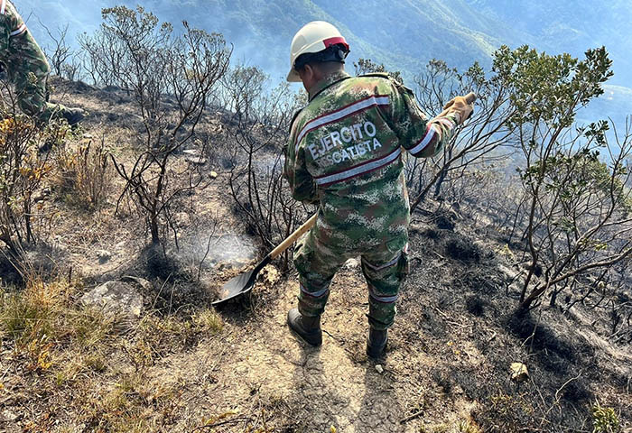Controlado incendio forestal en cerro Alguacil en la Sierra