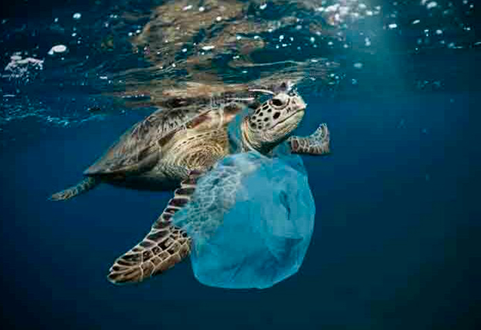 Campaña para evitar uso del plástico en las playas y los ríos