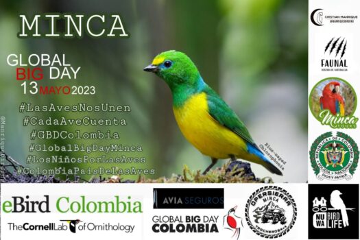 Policía celebrará en Minca el ‘Global Big Day’, encuentro mundial de avistamiento de aves