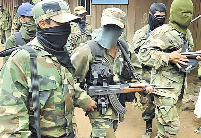 Grupo paramilitar se tomó escuela en Las Planadas, Plato