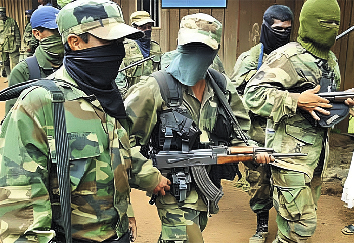 Defensoría del Pueblo condena la incursión armada en Las Planadas