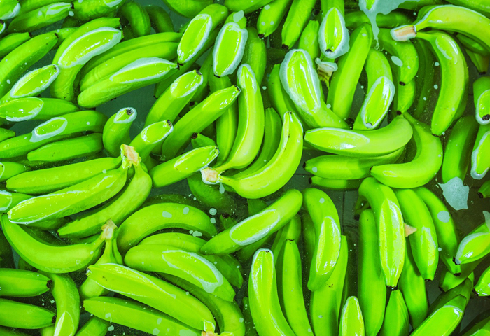 Asbama insta a la acción por un precio equitativo en el Día Internacional del Banano