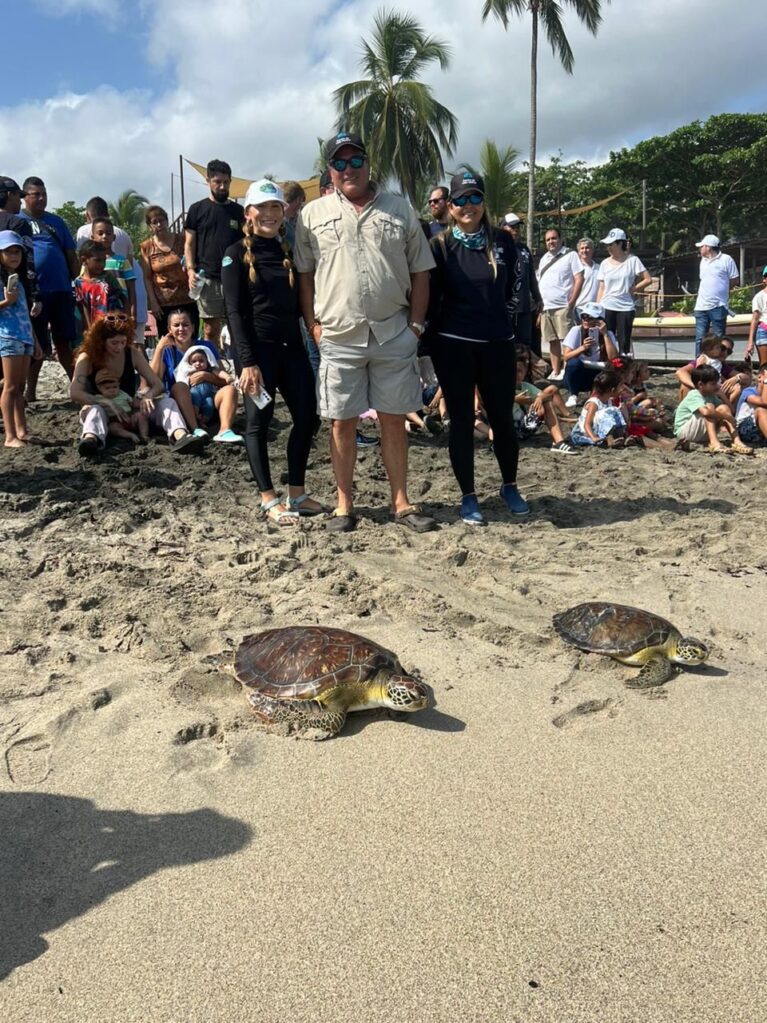 Liberadas 70 tortugas en las playas de Mendihuaca
