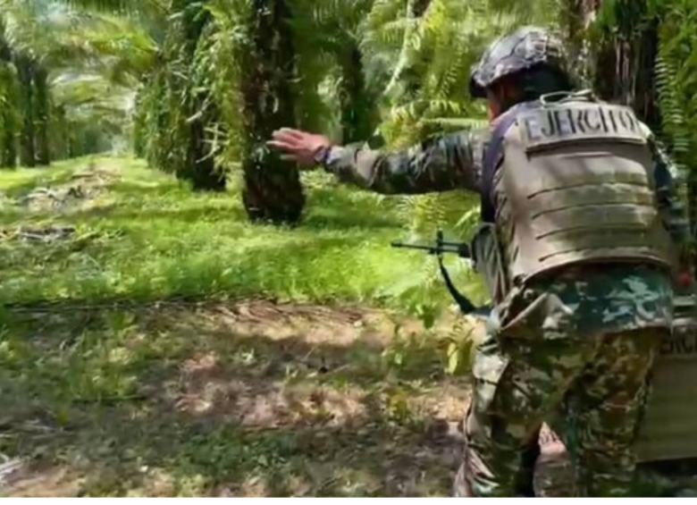 Duro golpe al Estado Mayor Central en Cauca: Ejército dio de baja a 15 disidentes en El Plateado
